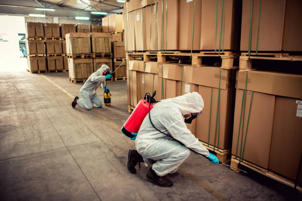 Best Mosquito Control Services  in Midtown, TN