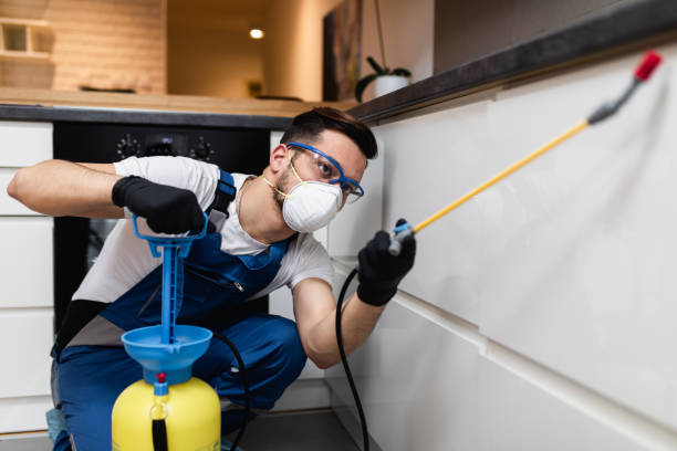 Best Pest Prevention Services  in Midtown, TN