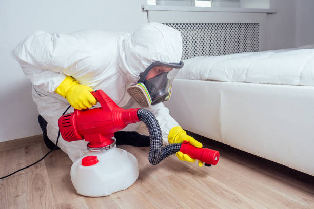 Best Local Pest Control Services  in Midtown, TN